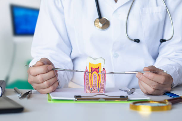 Best Emergency Cosmetic Dentistry in North Belle Vernon, PA